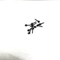 Bait Screws - Matte Black